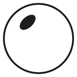 Circular Bi-focal KT - EVORA